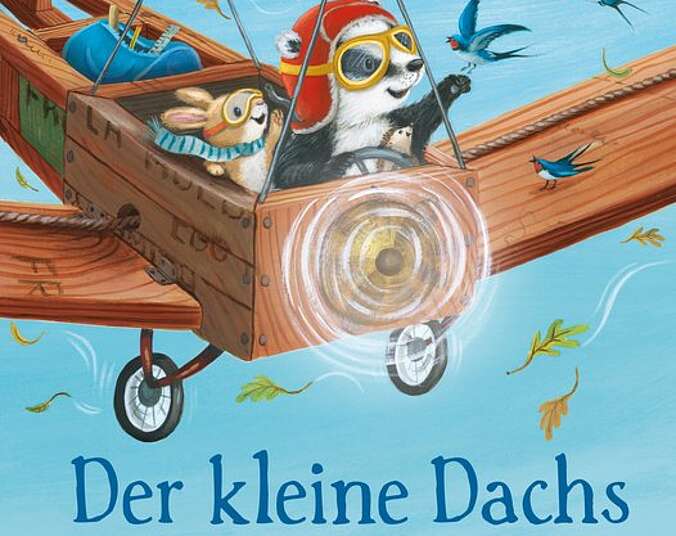 Der kleine Dachs fliegt in einer Seifenkiste.
